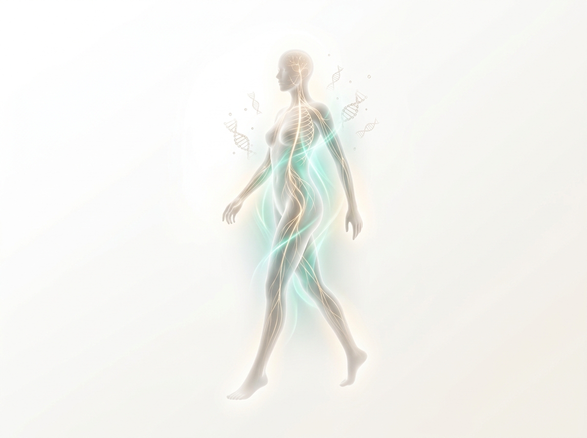 SustyHealth Anatomical & Physiological Conditioning